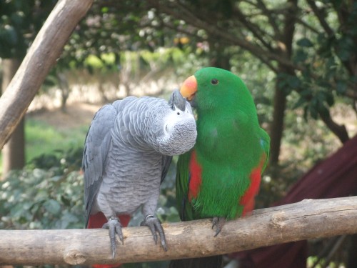 DSCF8180.jpg