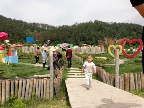 IMG_20180510_095440.jpg