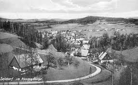 sosnowka-koragg.jpg
