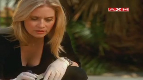 CSI-Miami-42.jpg